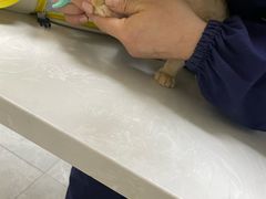 -中农国际动物医院24小时·猫科·骨科·急重症中心