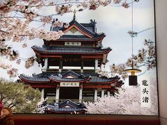 -蜜桃餐厅·伴山(绿宝广场店)