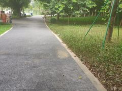 -东莞植物园