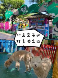 -萌宠亲子动物乐园(槐房万达店)