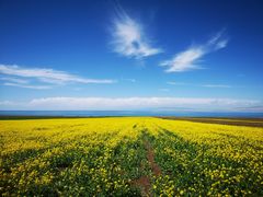 -青海湖国家重点风景名胜区