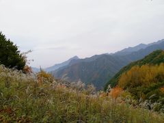 -石砭峪水库