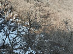 -海上云台山景区