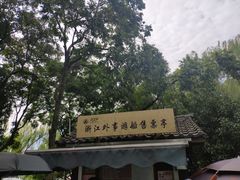 -西湖外事游船(花港观鱼码头)