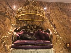 -more than meow吴止猫主题餐厅(承德 中船汇店)