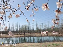 -门城湖公园