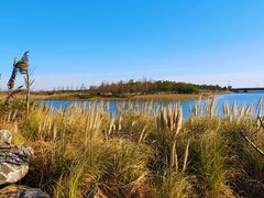-春花秋色城市公园