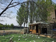 -长白岛森林公园