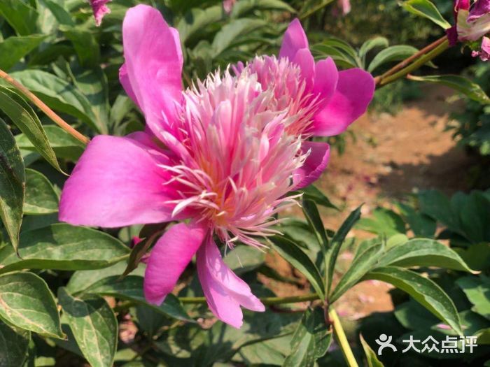 石经山风景区图片