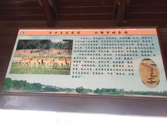 -北京麋鹿生态实验中心