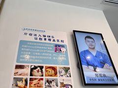 -伟伟宠物医院·瑞派猫友好医院·猫科(光谷店)