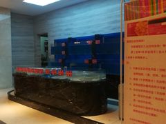 -金蝉食府(维吉奥广场店)