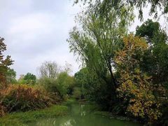 -西溪国家湿地公园