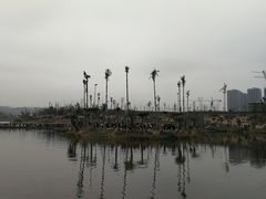 -枫香湖儿童公园