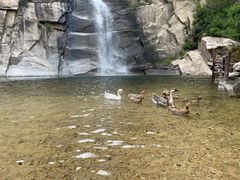 -黑龙潭风景区