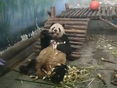 -无锡动物园·太湖欢乐园