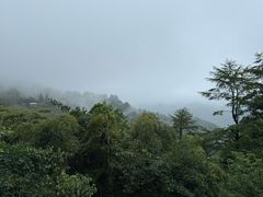 -莫干山风景区