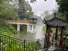 -火炉山森林公园