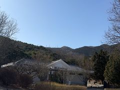 -北京西山国家森林公园