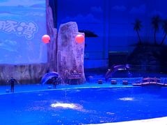 -华夏文旅海洋公园