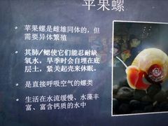-中国杭州低碳科技馆