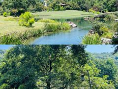 -太子湾公园-九曜山