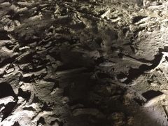 -二连浩特国家地质公园
