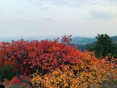 -北京西山国家森林公园