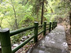 -藏龙百瀑风景区