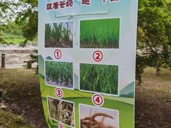 -嘉北郊野公园