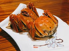 -呼吸森林·生态农庄农家乐私房菜