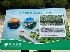 -霞山观海长廊