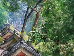 -红螺寺