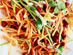 -东北菜冰城一家人