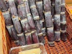 -金鼎轩(阜成门店)