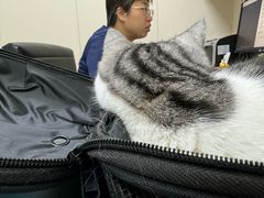 -美联众合爱康动物医院•复杂内科•肿瘤科•牙科•腔镜诊疗中心