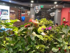 -洞庭家宴·头牌甲鱼(广渠门店)