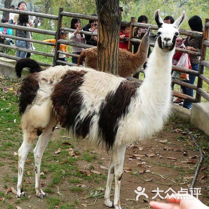 西安秦岭野生动物园