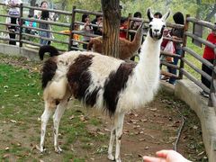 -西安秦岭野生动物园