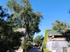 -三里河公园
