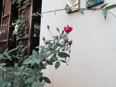 相约小筑-相约小筑缅泰餐厅(孟定店)