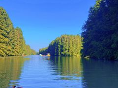 -上海海湾国家森林公园