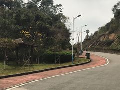 -火炉山森林公园