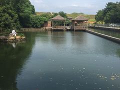 远观-水库河鲜村