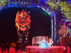 -广州长隆国际大马戏