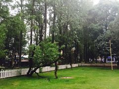 -邛海宾馆·玉鸥楼中餐厅