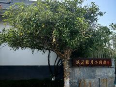 -雲景湾雲庭酒店