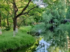 -长白岛森林公园