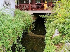 -上海醉白池公园