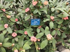 -南山植物园